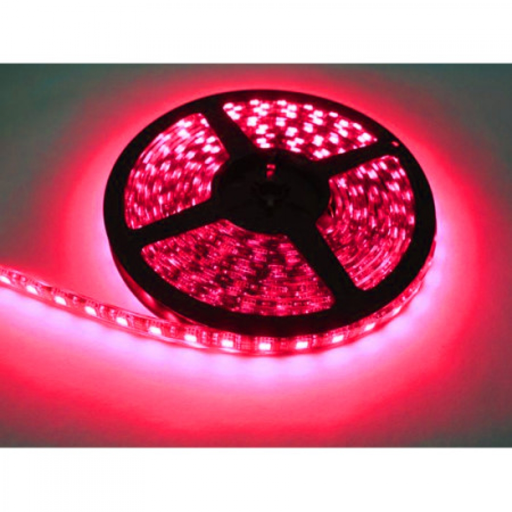 플렉시블 LED 바 SMD 5050 칩 플렉시블 플렉서블 5M 적색 에폭시 방수형 5미터 LED 5050 chip flexible RED LED / 인투피온