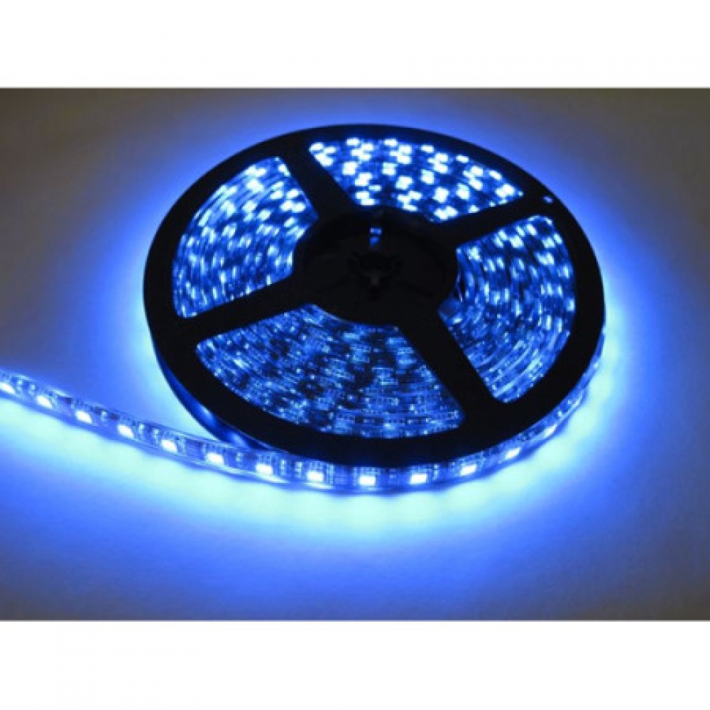 플렉시블 LED 바 SMD 5050 칩 플렉시블 플렉서블 5M 파란색 블루 에폭시 방수형 5미터 LED 5050 chip flexible BLUE LED / 인투피온